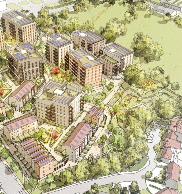 Sawyers close cropped 2